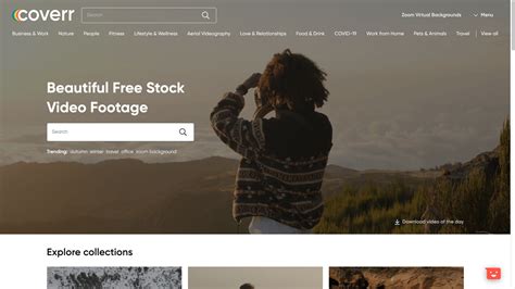 Free Stock Video Footage & Video Clips .